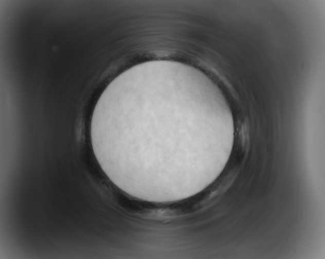 X0000087530212200705251706