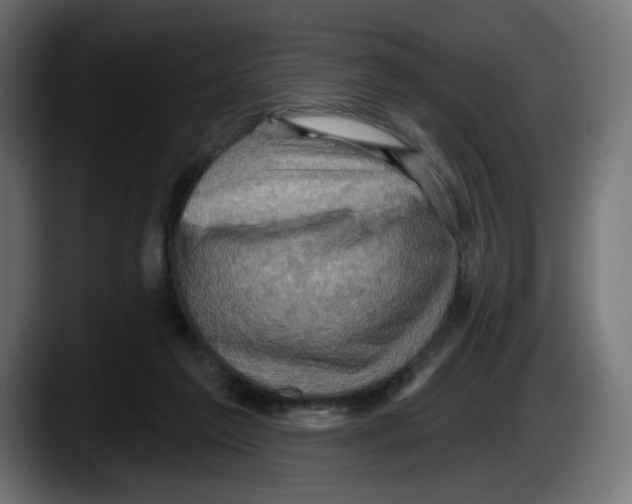 X0000087530213200705251706