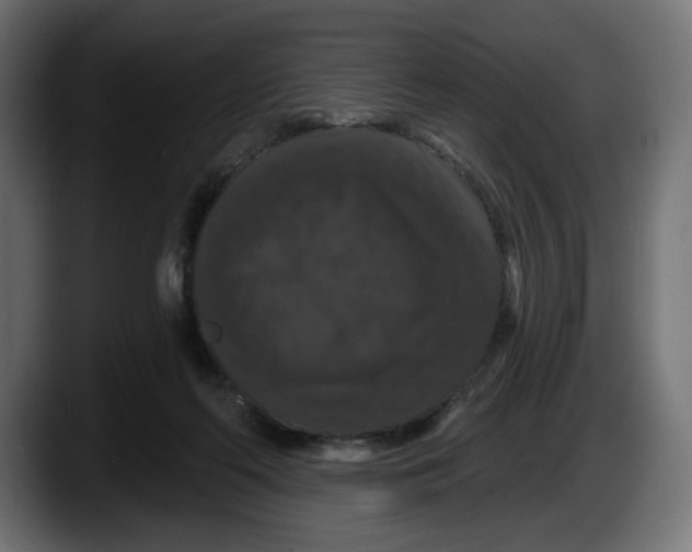 X0000087530214200705251706