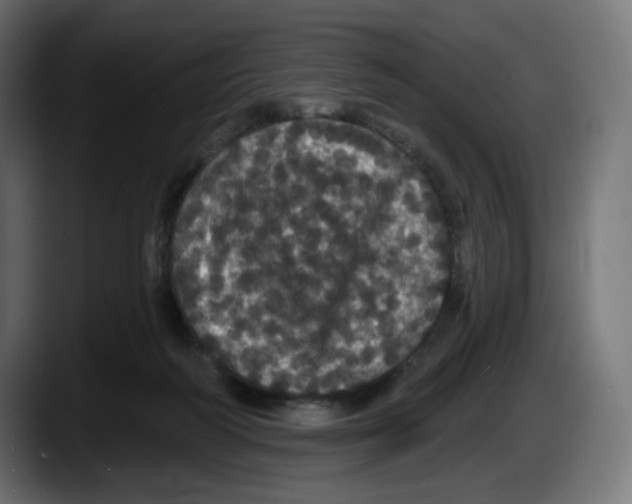 X0000087530218200705251706