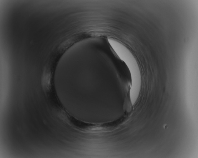 X0000087530219200705251706