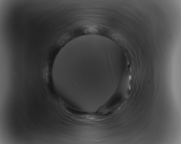 X0000087530223200705251706