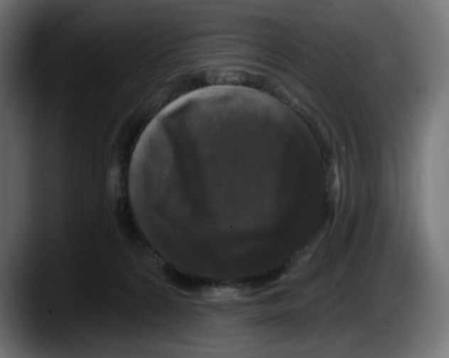 X0000087530224200705251706