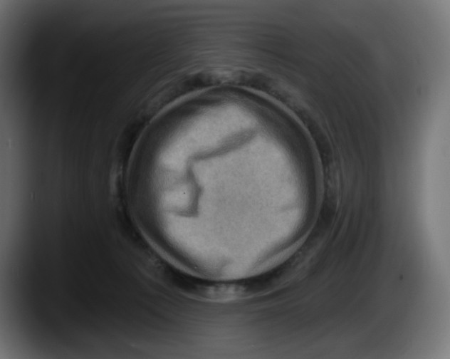 X0000087530225200705251706