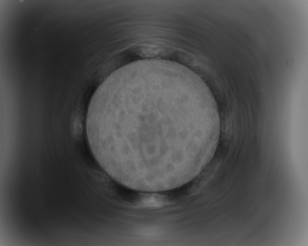 X0000087530226200705251706