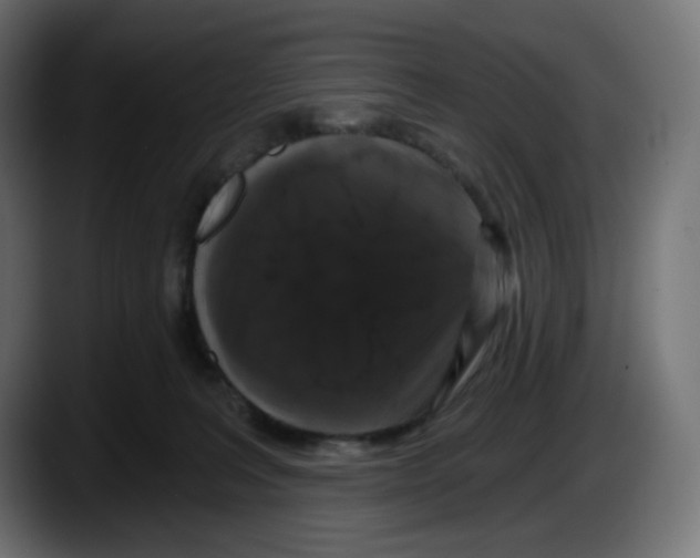 X0000087530227200705251706