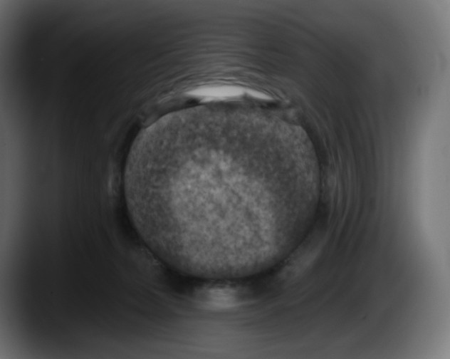 X0000087530228200705251706