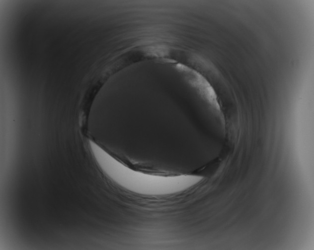 X0000087530229200705251706