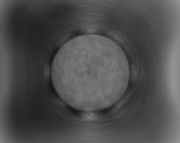 X0000087530230200705251706