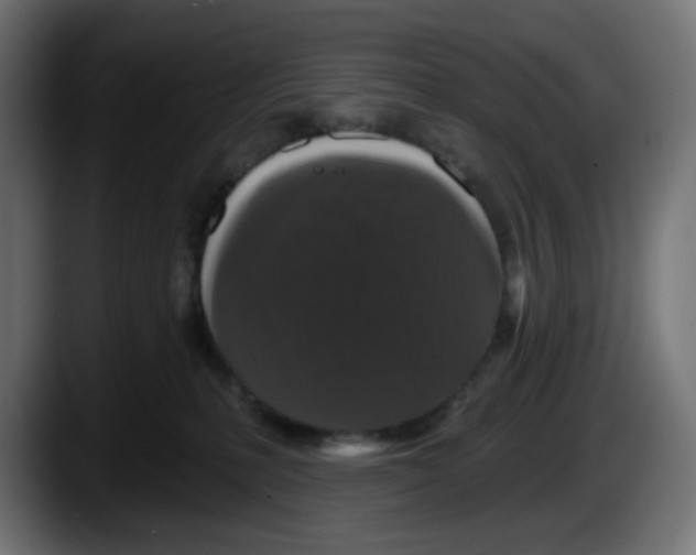 X0000087530231200705251706