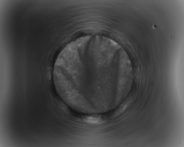 X0000087530232200705251706