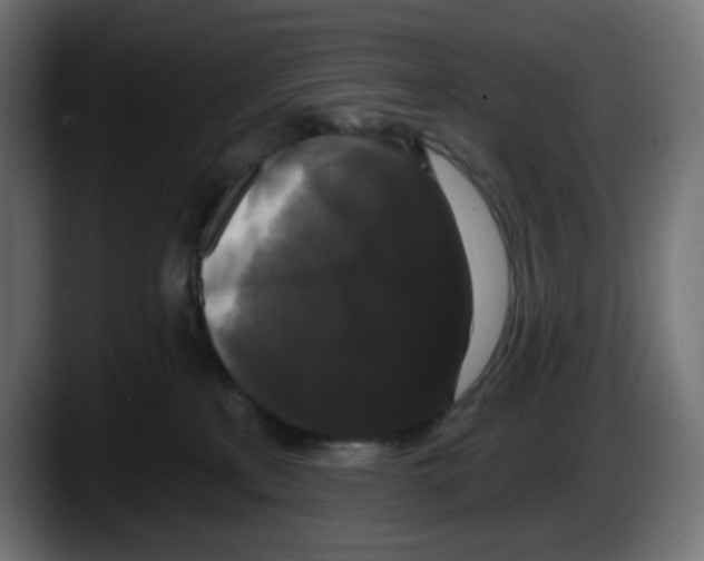 X0000087530233200705251706