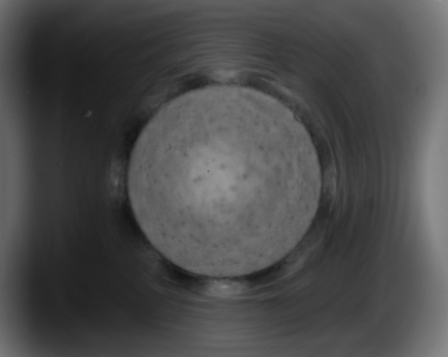 X0000087530234200705251706