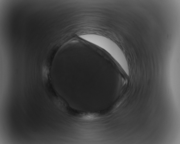 X0000087530235200705251706