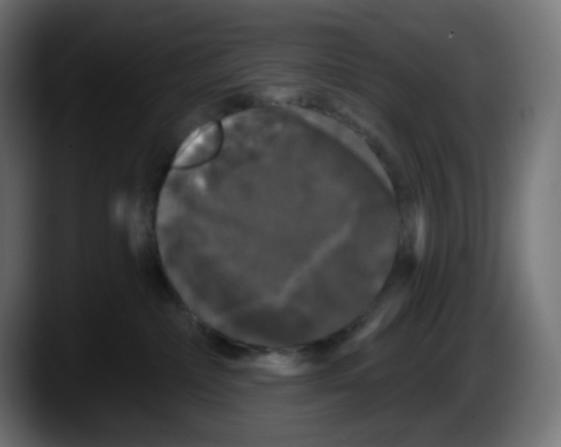 X0000087530236200705251706