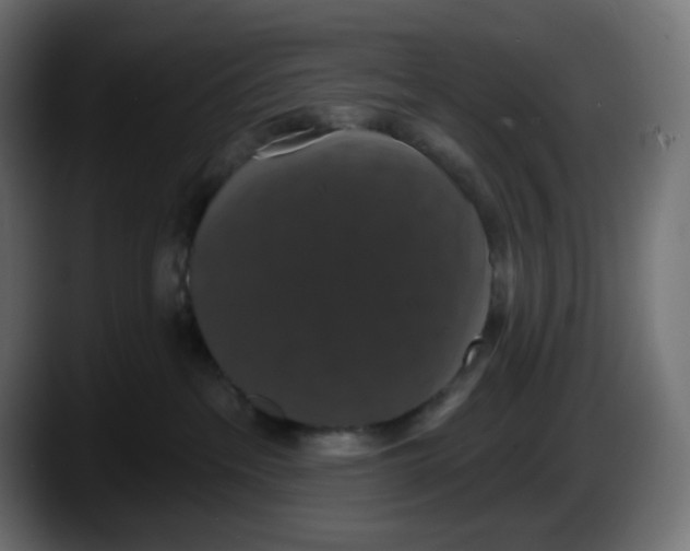 X0000087530237200705251706