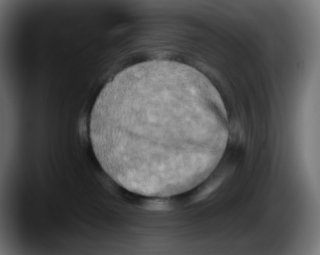 X0000087530238200705251706