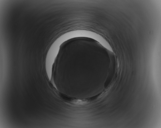 X0000087530239200705251706