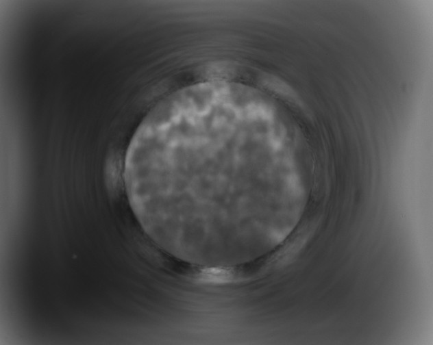 X0000087530240200705251706