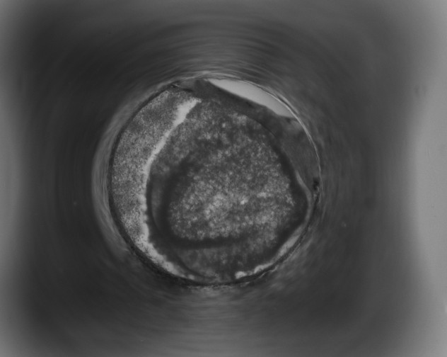 X0000087530241200705251705