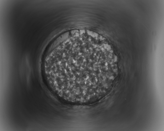 X0000087530242200705251705