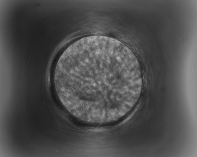 X0000087530246200705251705