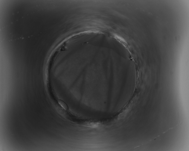 X0000087530247200705251705