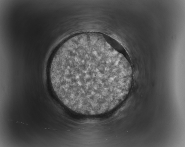 X0000087530248200705251705