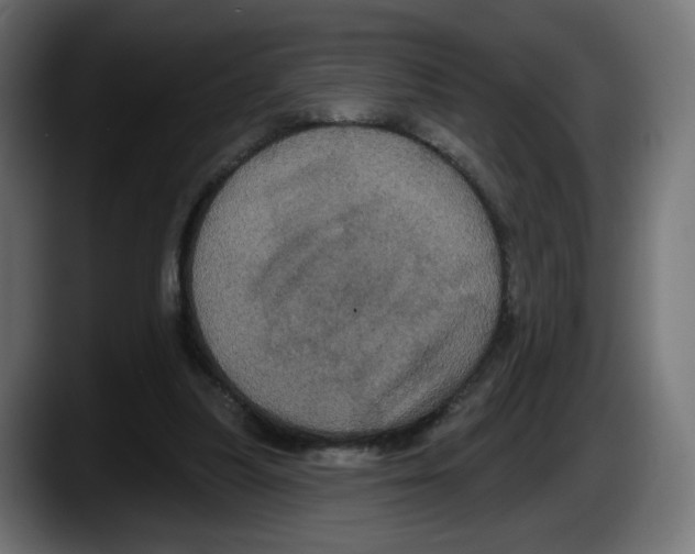 X0000087530251200705251705