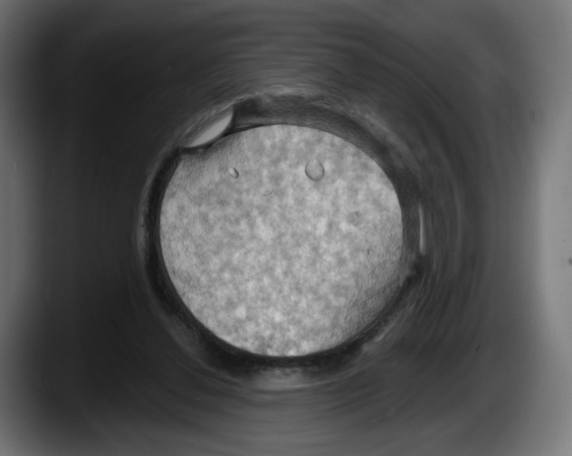X0000087530252200705251705