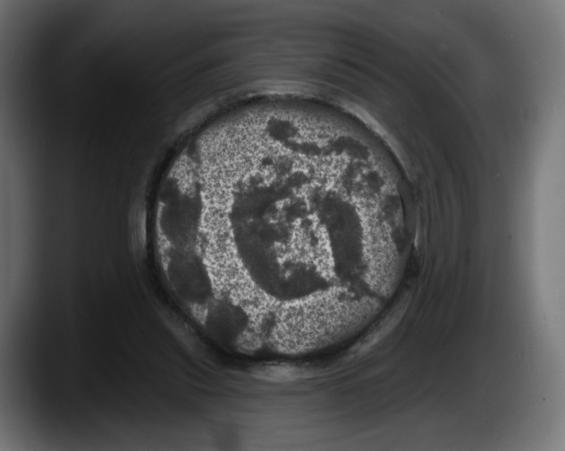 X0000087530253200705251705
