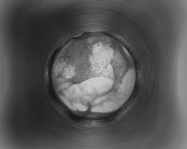 X0000087530254200705251705
