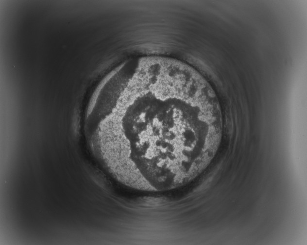 X0000087530255200705251705