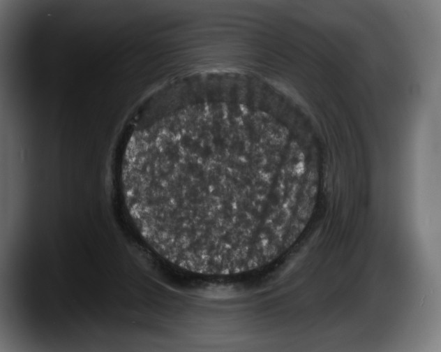 X0000087530256200705251705