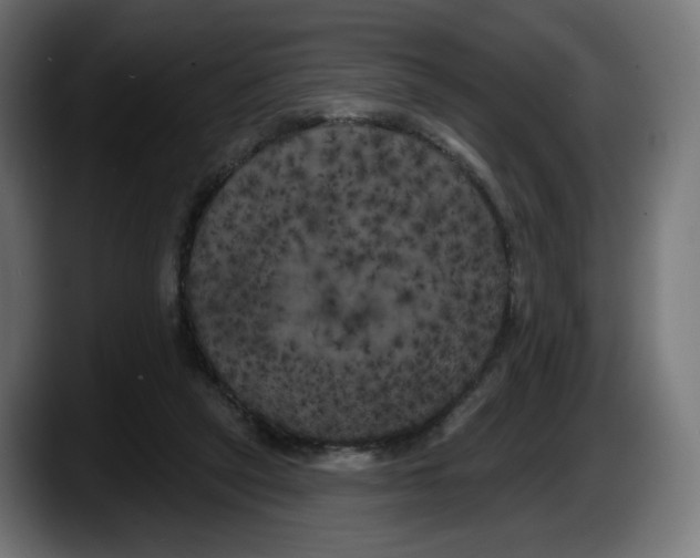 X0000087530257200705251705