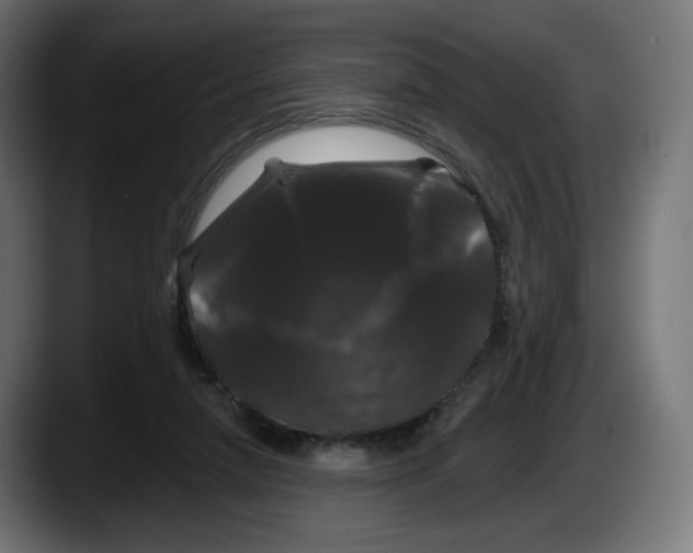 X0000087530258200705251705