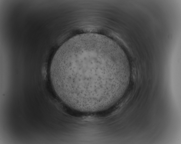X0000087530259200705251705