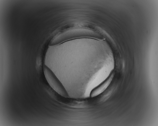 X0000087530260200705251705