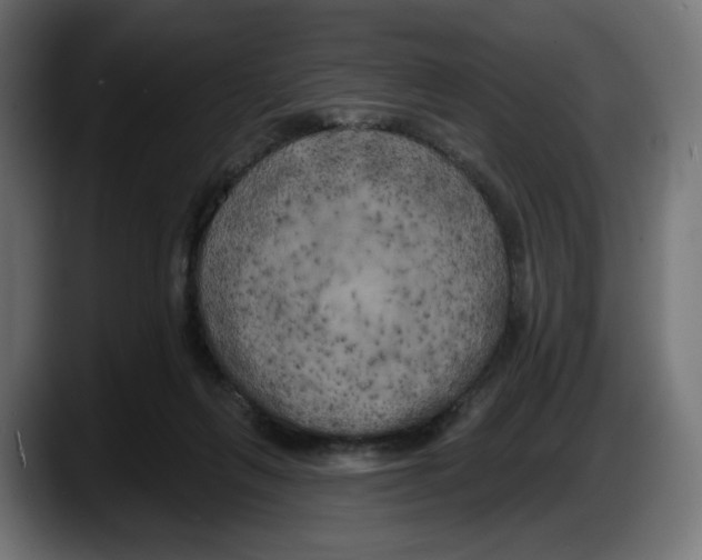 X0000087530263200705251705
