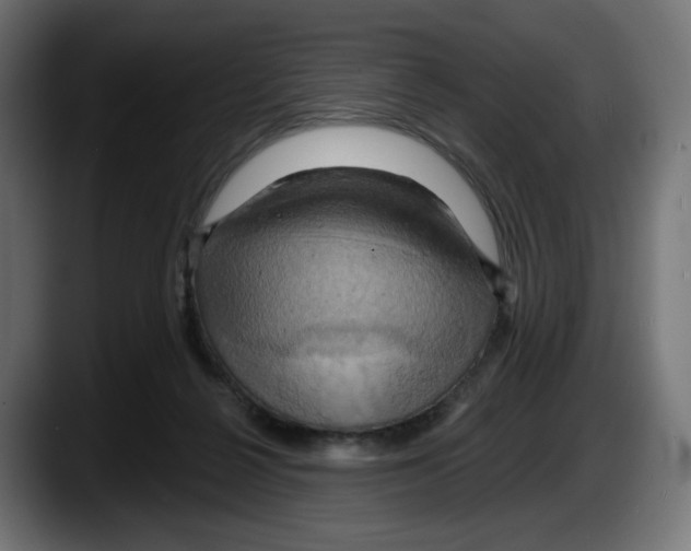 X0000087530264200705251705