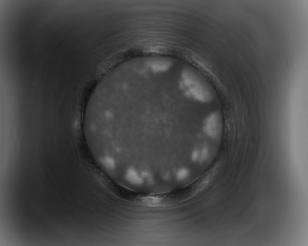 X0000087530265200705251705