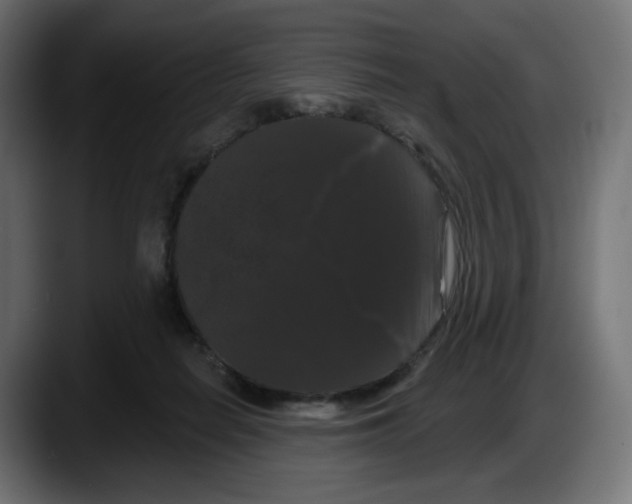 X0000087530266200705251705