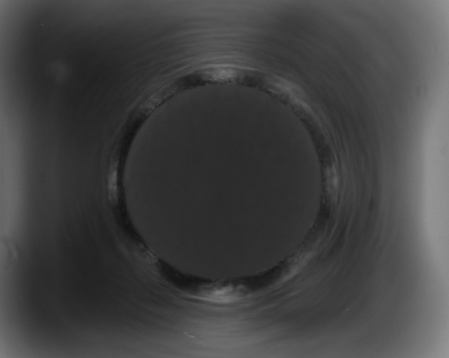 X0000087530267200705251705