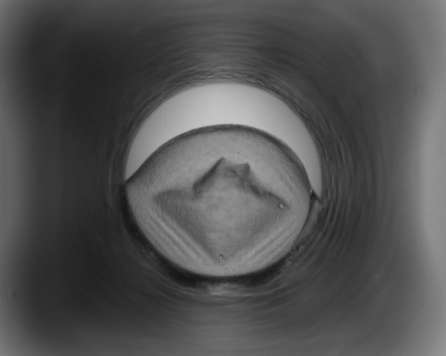 X0000087530268200705251705