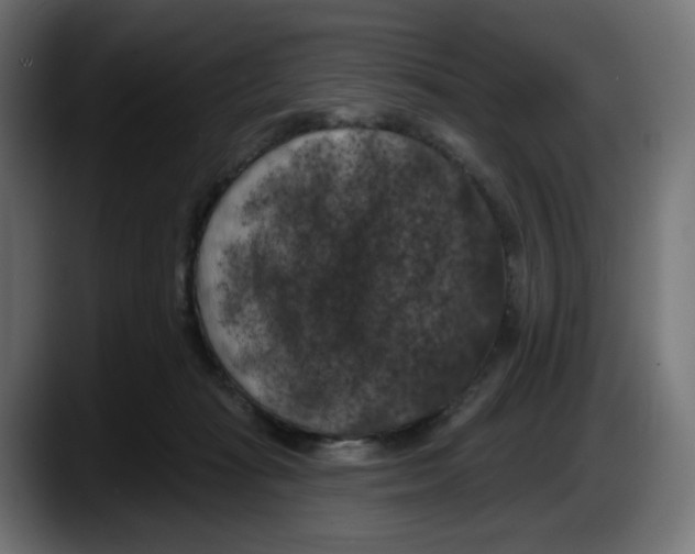 X0000087530269200705251705