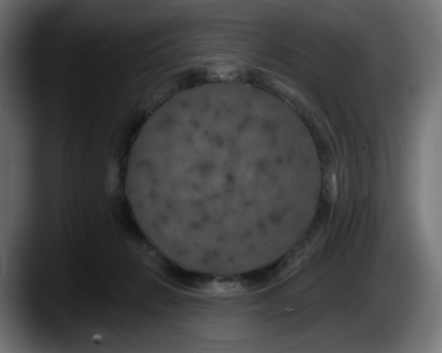 X0000087530270200705251705