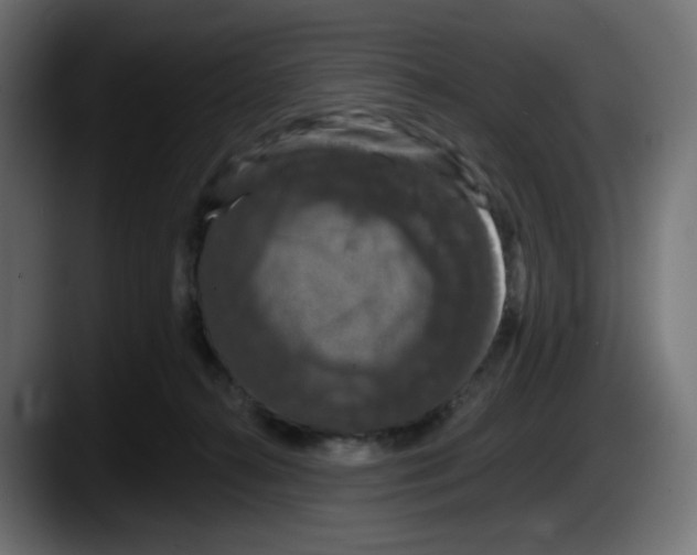 X0000087530272200705251706