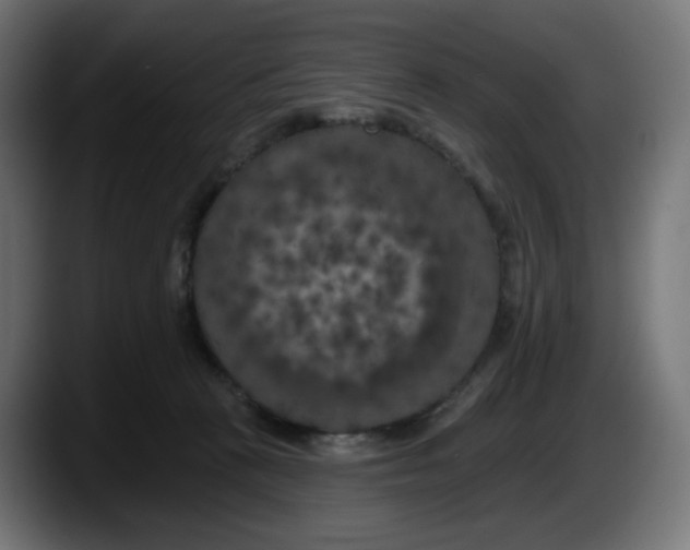 X0000087530273200705251706