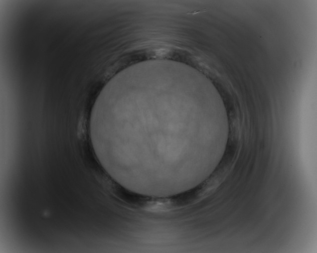 X0000087530274200705251706