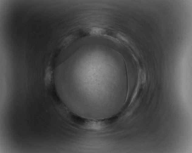 X0000087530276200705251706